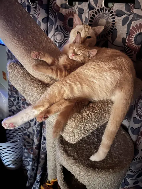 My new Boy Tom