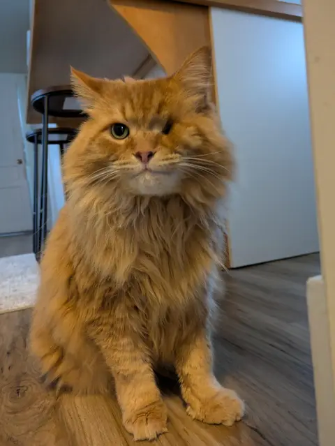 My best buddy Steve.