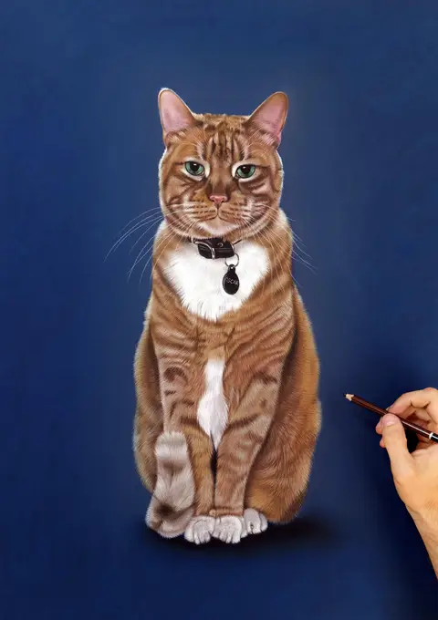 Ginger Cat Pastel Drawing