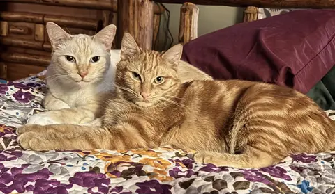 Baby boy Tom 10 months old, almost as big as his brother Jerry 6 years old
