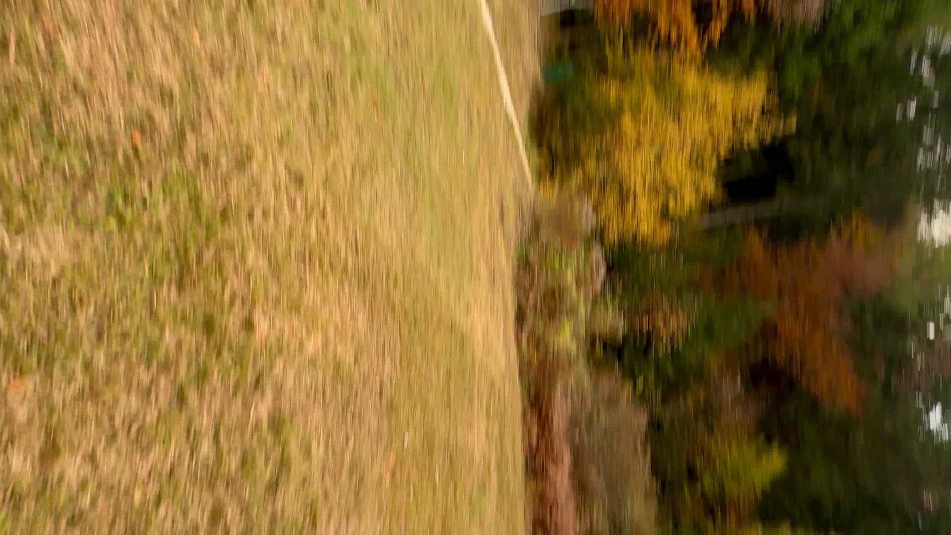 Just a few steps away from the cabin and my tits are already out hehe