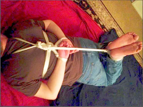Simple hogtie